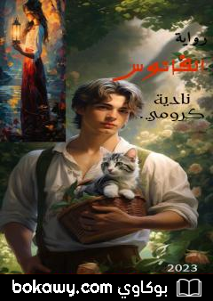 كتاب الفانوس