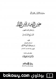 كتاب عيون الأخبار وفنون الآثار – السبع السادس