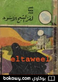 كتاب لغز الشبح الأسود – سلسلة المغامرون الخمسة: 4